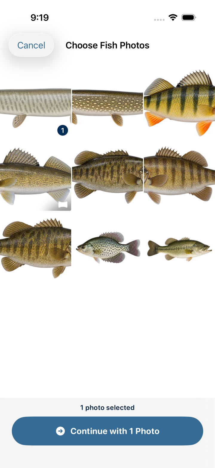The actual Catch Pins photo picker showing nine sample fish photos, one selected, and Continue with 1 Photo enabled
